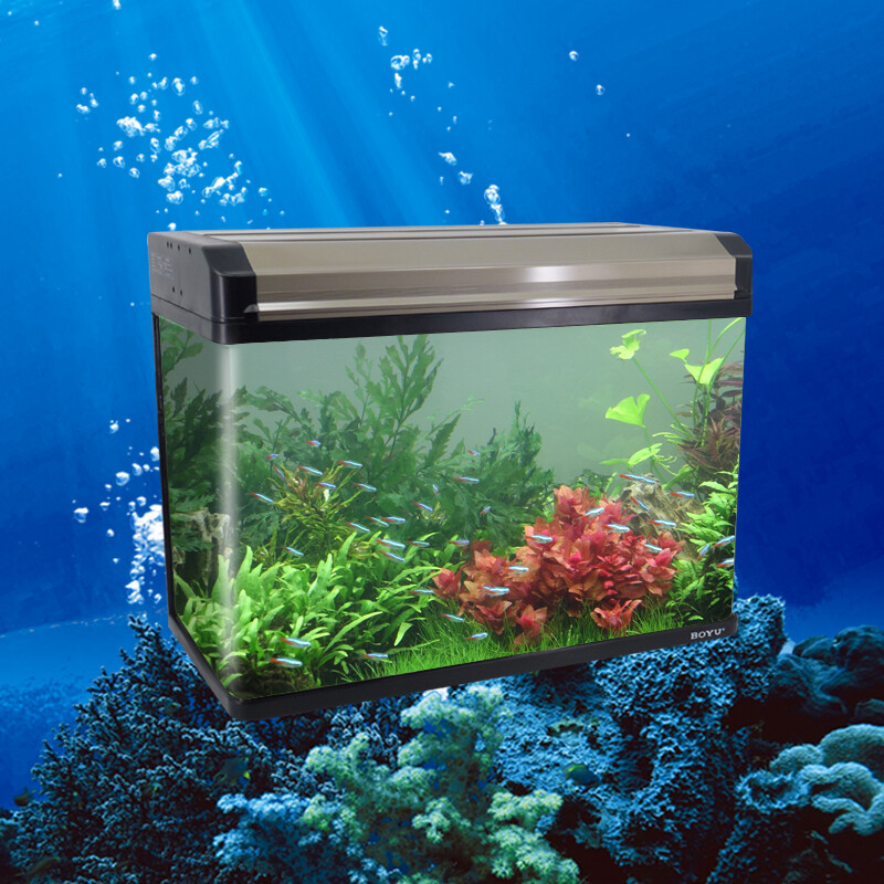 博宇ea鱼缸雅致水族箱豪华生态热弯玻璃大中型80送货上楼需补差 ea