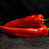 【【立泰悦达】绿色盆栽植物 适合室内办公桌