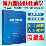 现货第九版皮肤性病学习题集 第9版医学教材配套同步练习册习题册试题精讲精练学习指导与习题集全套资料搭