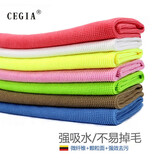 CEGIA 无尘抹布 实验室 药厂GMP车间用强吸水不易掉毛无尘布洁净抹布无尘毛巾 白色 30X30（1条）