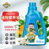 德沃多肥料 植物营养液通用600ml 水培绿植花卉盆栽花肥料发财树绿萝多肉兰花巴西木富贵竹水草浓缩液体肥