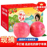 柏果瑞【顺丰快递】甘肃静宁红富士苹果新鲜当季脆甜冰糖心时令苹果水果 带箱5斤12枚小果