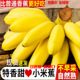 集年鲜广西小米蕉 软糯香甜当季现摘现发热带新鲜水果整箱丑拇指萌香蕉 净重3斤优选