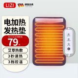 立姿（lizi）德国品牌 护腰带配件 电加热垫片可调节发热热敷