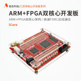 银杏科技ARM FPGA双核心板开发板STM32F103 EP4CE6 Altera iCore ARM FPGA双核心板开发板iCore（含专票）