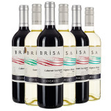 维斯特玛智利原瓶进口红酒 维斯特玛甄选系列 葡萄酒 赤霞珠长相思六支装组合