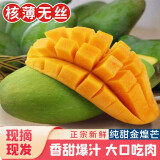 集年鲜广西青皮大芒果 青黄玉芒随机发 热带新鲜水果整箱送礼 净重4.5斤大果（单果300起）