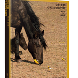 《克什克腾草原深处的牧歌》