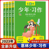 2023版少年习作套装4册自选 爱在光年之外 笔尖上的自然课 拐角遇见成长 我记得你的样子 中小学生青少版写作课外阅读书籍 意林少年版