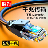 胜为（shengwei）六类网线 cat6类千兆高速八芯双绞 电脑网络宽带跳线 路由器成品网线 黑色5米 LC-6050G