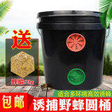 中蜂诱蜂水的制作方法 中蜂诱蜂水的制作方法窍门
