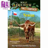 神奇树屋小百科39 Magic Tree House Fact Tracker #39 Texas 魔法树屋系列 儿童百科科普知识读物 7-10岁