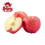 【果哒哒】陕西延安红富士新鲜苹果水果24枚礼盒装80－85mm   洛川红富士苹果