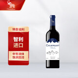 智象安第斯西拉干红葡萄酒750ml单支