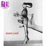 June Leaf 进口艺术 美国造型艺术家琼利夫 Rizzoli