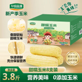 华田禾邦甜糯玉米240g*8根 3.84斤 东北大棒甜糯玉米 低脂杂粮礼盒