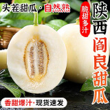 集年鲜陕西阎良甜瓜新鲜香瓜采摘香甜多汁生鲜水果 净重8.5斤