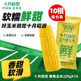 十月稻田 甜糯玉米 鲜食玉米 220g*10穗 【推荐】