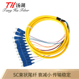 汤湖 TH-SC12 电信级光纤跳线 网络线 12芯SC单模束状尾纤光纤尾纤 ODF架/适用于终端盒配线  1.5米