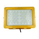 鼎晟丰（DSF) DSFF-956 LED防爆灯 100W
