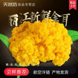 高原云品【天然坊】云南丽江新鲜金耳菌 脑耳 优比银耳 航空新鲜送达 1000克