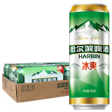 哈尔滨啤酒（Harbin）冰爽拉罐500ml*4*6 听装 整箱装