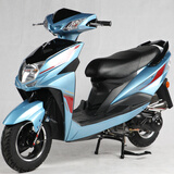 【闪速哈雷电动车防盗电瓶车电动车平衡滑板车