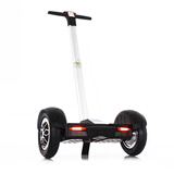 【阿尔郎 儿童自平衡车两轮成人智能代步车双