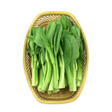 孙桥 菜心 白菜薹 约300g 新鲜蔬菜