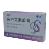 【齐鲁 头孢克肟胶囊 齐鲁制药 100mg*10粒和