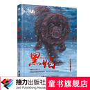 黑鹤动物文学精品系列·黑焰（插图版）黑鹤长篇小说 儿童课外读物 接力出版社暑期阅读暑假自主阅读课外读物书