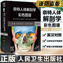 任选 奈特人体解剖学彩色图谱第8版/奈特人体解剖学彩色图谱系统解剖学第8版 人民卫生出版社 奈特人体解剖学彩色图谱第8版