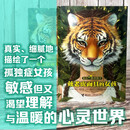 【官方直营】来自星星的孩子系列 戴老虎面具的女孩+隐形的朋友 孤独症女孩敏感渴望理解温暖心灵世界 不回避迎向光亮成长历程儿童文学心理书籍 接力出版社正版暑期阅读暑假自主阅读课外读物书 戴老虎面具的女孩