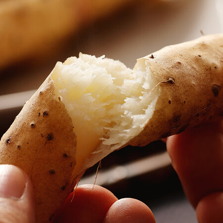 铁棍山药新鲜小白嘴麻山药棒铁杆淮山蔬菜 500g