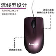 联想（Lenovo）有线鼠标 商务办公鼠标 家用台式机笔记本鼠标 USB接口 【Darren BM】0.6米有线鼠标/紫色
