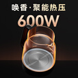 金灶（KAMJOVE）煮茶壶泡茶壶喷淋式煮茶器白茶黑茶蒸茶一体煮茶烧水壶茶具