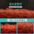 钓鱼王地狱猫打窝颗粒含昆虫蛋白鱼饵鲫鱼鲤鱼草鱼野钓打窝料四季通用 2包地狱猫打窝颗粒4mm