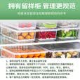 扬子立式冷藏保鲜幼儿园展示柜食品留样带锁餐厅冰箱商用食堂展示 白52*47*87cm 单锁款