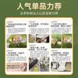 野徒者露营桌椅全套户外桌椅折叠椅野餐一桌四椅户外露营装备野炊蛋卷桌 95cm5件套【米色长桌+4把椅子】 新款升级