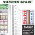 扬子立式冷藏保鲜幼儿园展示柜食品留样带锁餐厅冰箱商用食堂展示 白52*47*87cm 单锁款