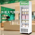 扬子立式冷藏保鲜幼儿园展示柜食品留样带锁餐厅冰箱商用食堂展示 白52*47*87cm 单锁款