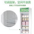 扬子立式冷藏保鲜幼儿园展示柜食品留样带锁餐厅冰箱商用食堂展示 白52*47*87cm 单锁款