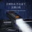 【自行车灯】强光手电筒前灯夜骑山地公路儿童单车灯夜行骑行装备 【高配版】600容量【续航更长】