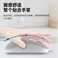 飞利浦（PHILIPS）M1（M6）有线鼠标 商务办公鼠标  USB即插即用 左右手对称鼠标 男女生mac笔记本台式电脑家用 M1黑色【USB有线】