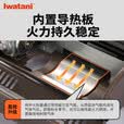 岩谷（Iwatani）防风卡式炉便携式户外炉具套装烤盘火锅露营野餐卡斯磁士丁烷燃气 岩谷ZKZ-2FXH限定款新款防风卡式炉