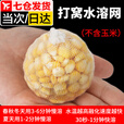 佐之寻水溶网钓鱼抓鱼打窝器快溶慢溶速溶水溶打窝袋饵料野钓窝料溶解网 快溶 宽44mm*5米