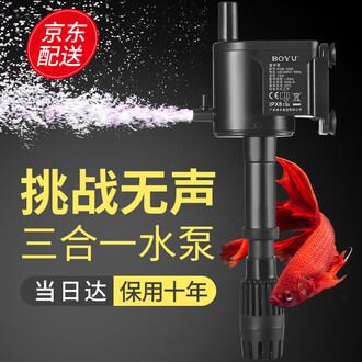 深夜可能遇到稀有鱼种