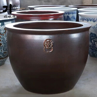 特大荷花缸 • 金魚缸 Flowers and Fish - Enoshima Aquarium Big Sagami Bay Tank / 花と魚