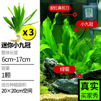 莫斯水草排行榜 京东