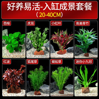 40cm草缸造景品牌排行榜- 十大品牌- 京东